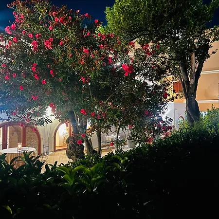 Hotel La Lampara 3*